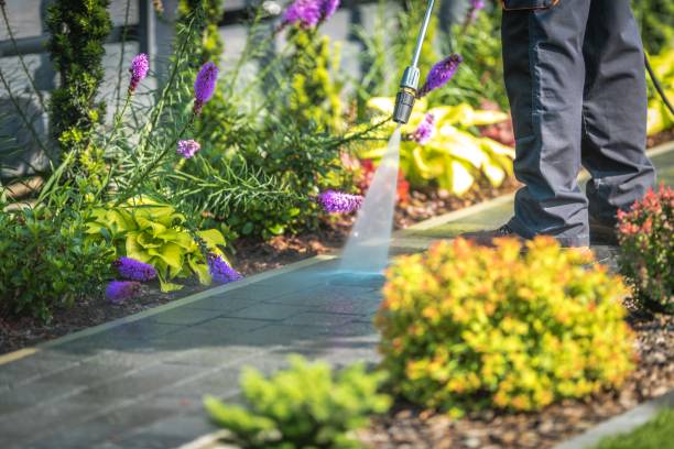 Best Driveway Pressure Washing  in Wahneta, FL