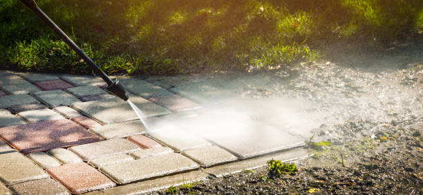 Best Sidewalk and Walkway Cleaning  in Wahneta, FL