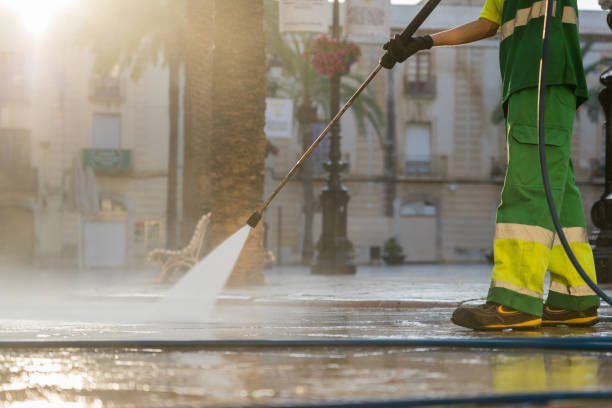 Best Roof Washing  in Wahneta, FL